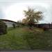 virtualtour