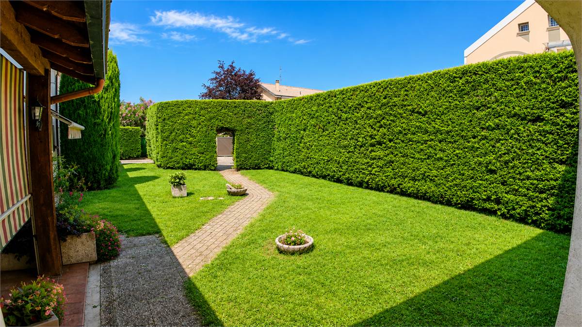 giardino